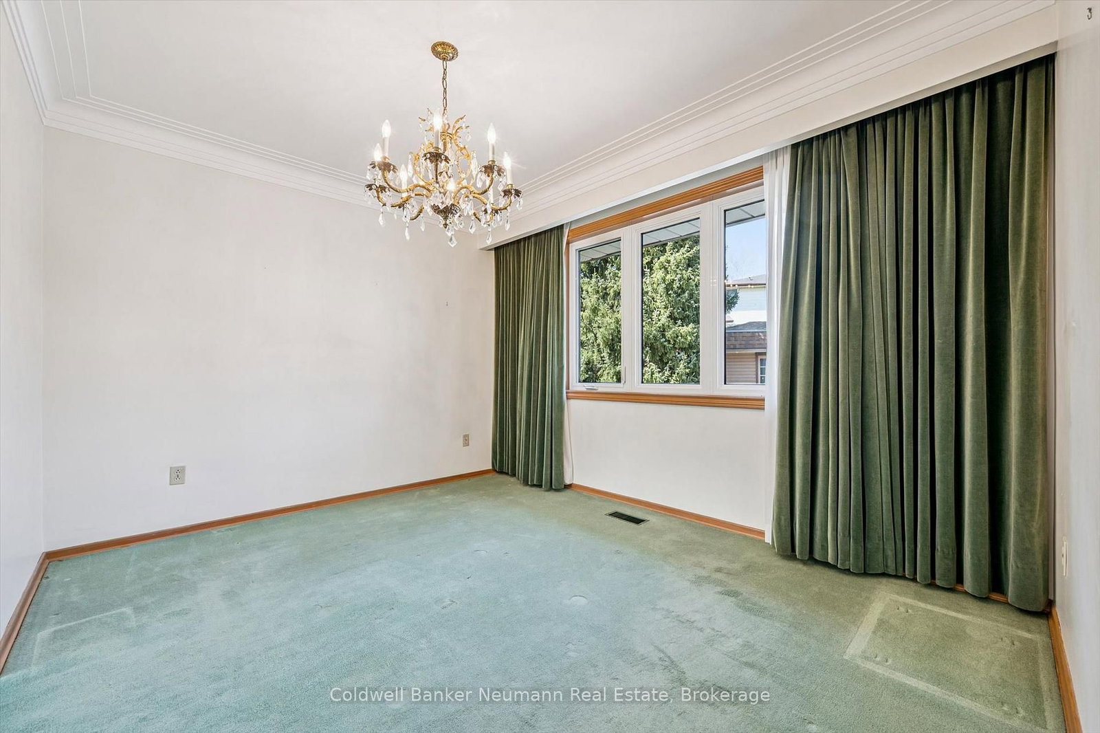 18 Carmine Place - Photo 7