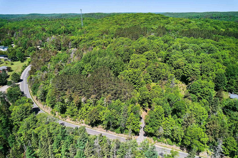 445 ETWELL Rd, Huntsville, P1H 2J2 | Image 2