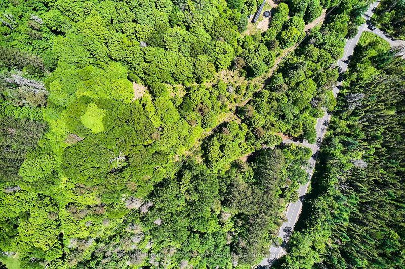 445 ETWELL Rd, Huntsville, P1H 2J2 | Image 3