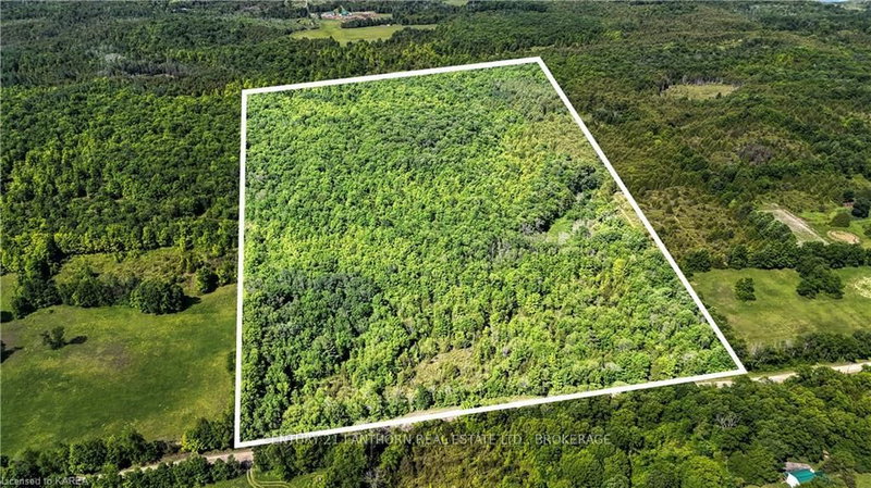 LOT 8 WADDELL Rd, Stone Mills, K0K 2A0 | Image 3