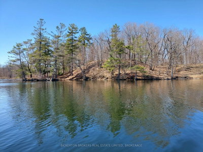 0 Murphy's Island • Leeds and the Thousand Islands, ON photo 8