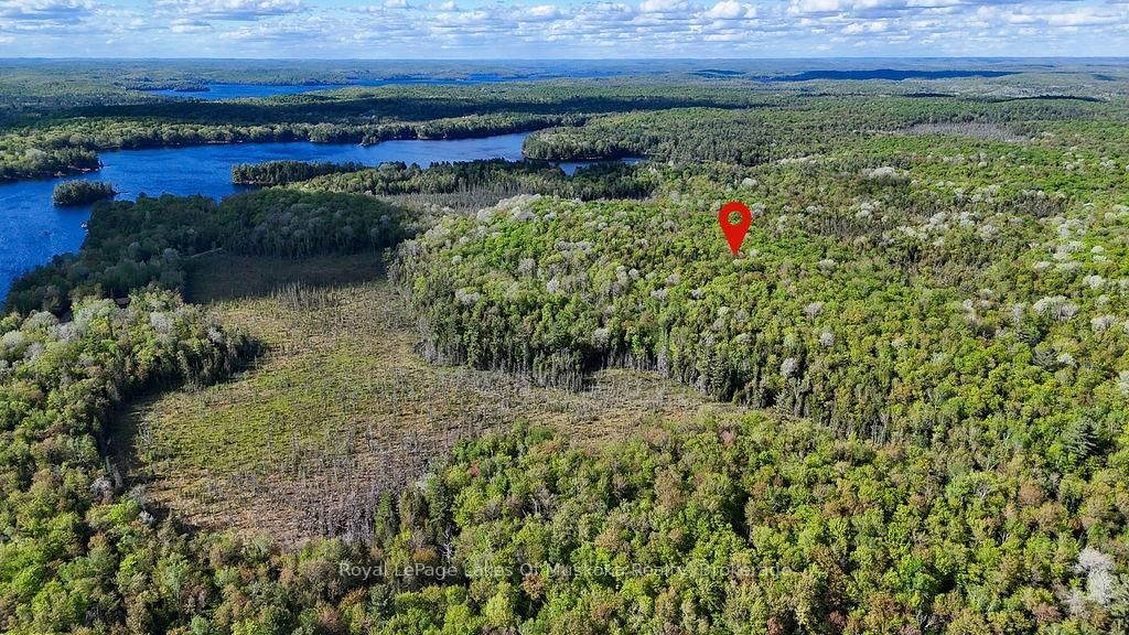 1356 Dickie Lake Road • Lake of Bays, ON photo 11