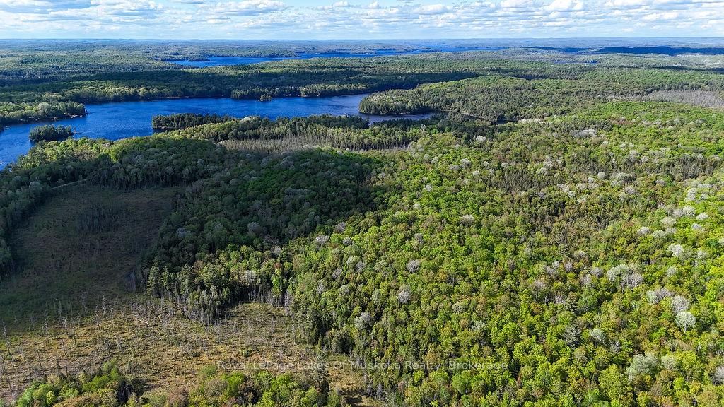 1356 Dickie Lake Road • Lake of Bays, ON photo 12