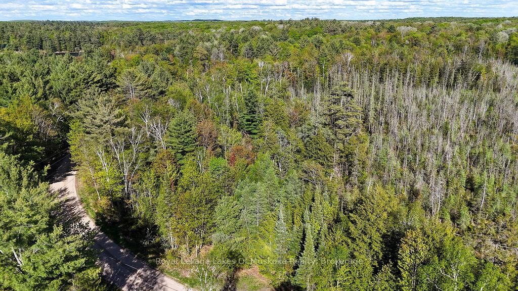 1356 Dickie Lake Road • Lake of Bays, ON photo 13