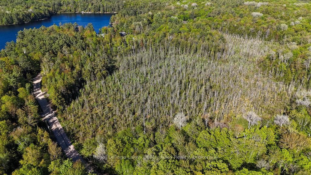 1356 Dickie Lake Road • Lake of Bays, ON photo 14