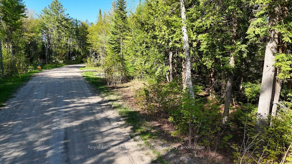 1356 Dickie Lake Road • Lake of Bays, ON photo 15