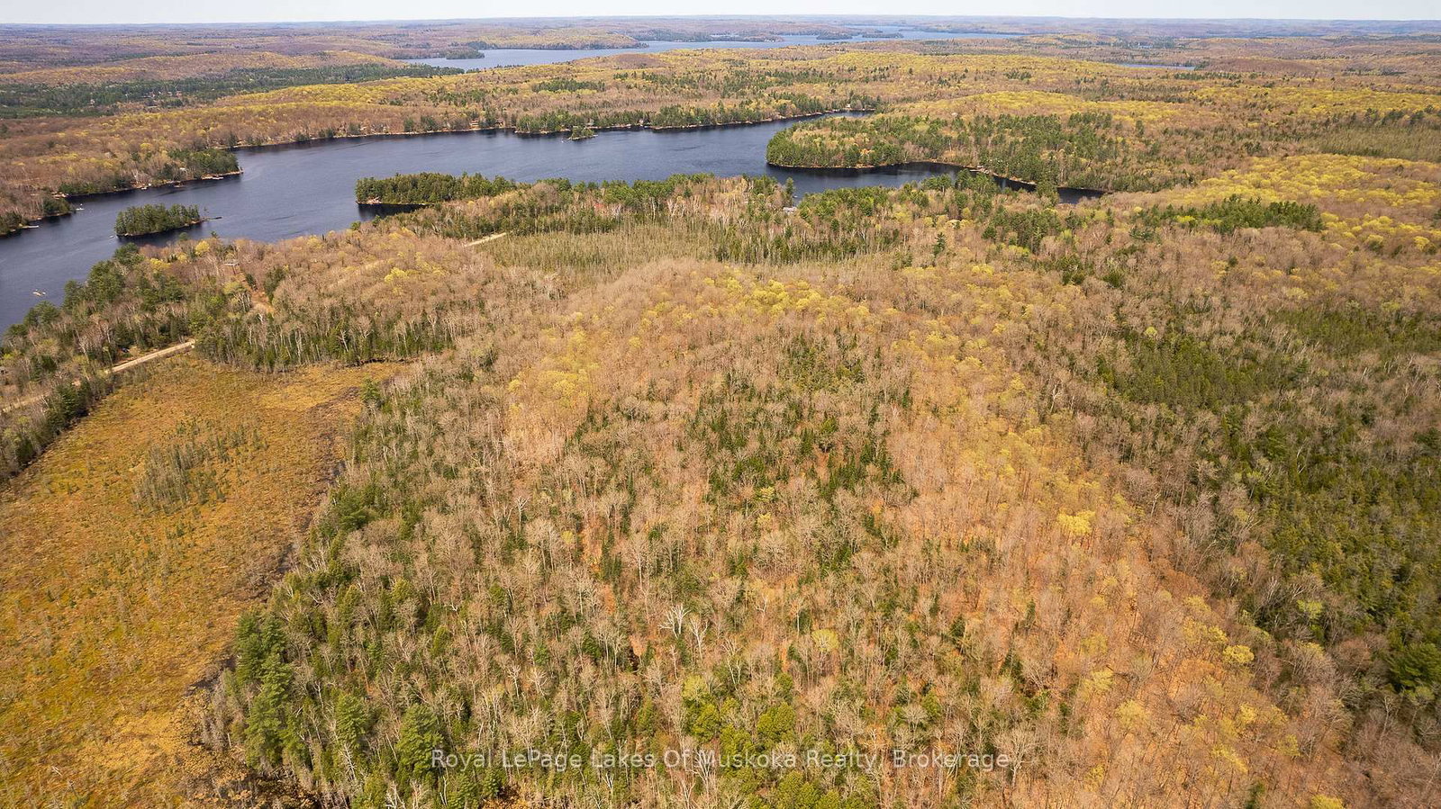 1356 Dickie Lake Road • Lake of Bays, ON photo 5