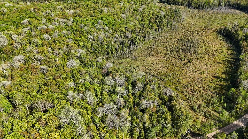 1356 Dickie Lake Road • Lake of Bays, ON photo 8