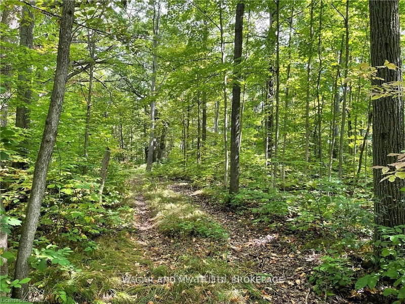 .. BRIDGE St W, Greater Napanee, K7R 3L1 | Image 2