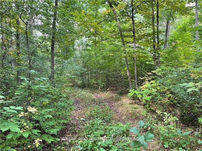 .. BRIDGE St W, Greater Napanee, K7R 3L1 | Image 3