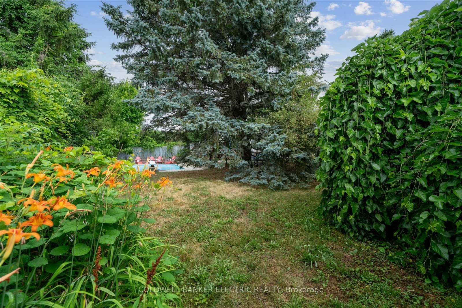 Detached House for sale at 11 Bayleaf Court, Peterborough, Ontario, K9K 1A2 - Monaghan Ward 2 - MLS: X12940252