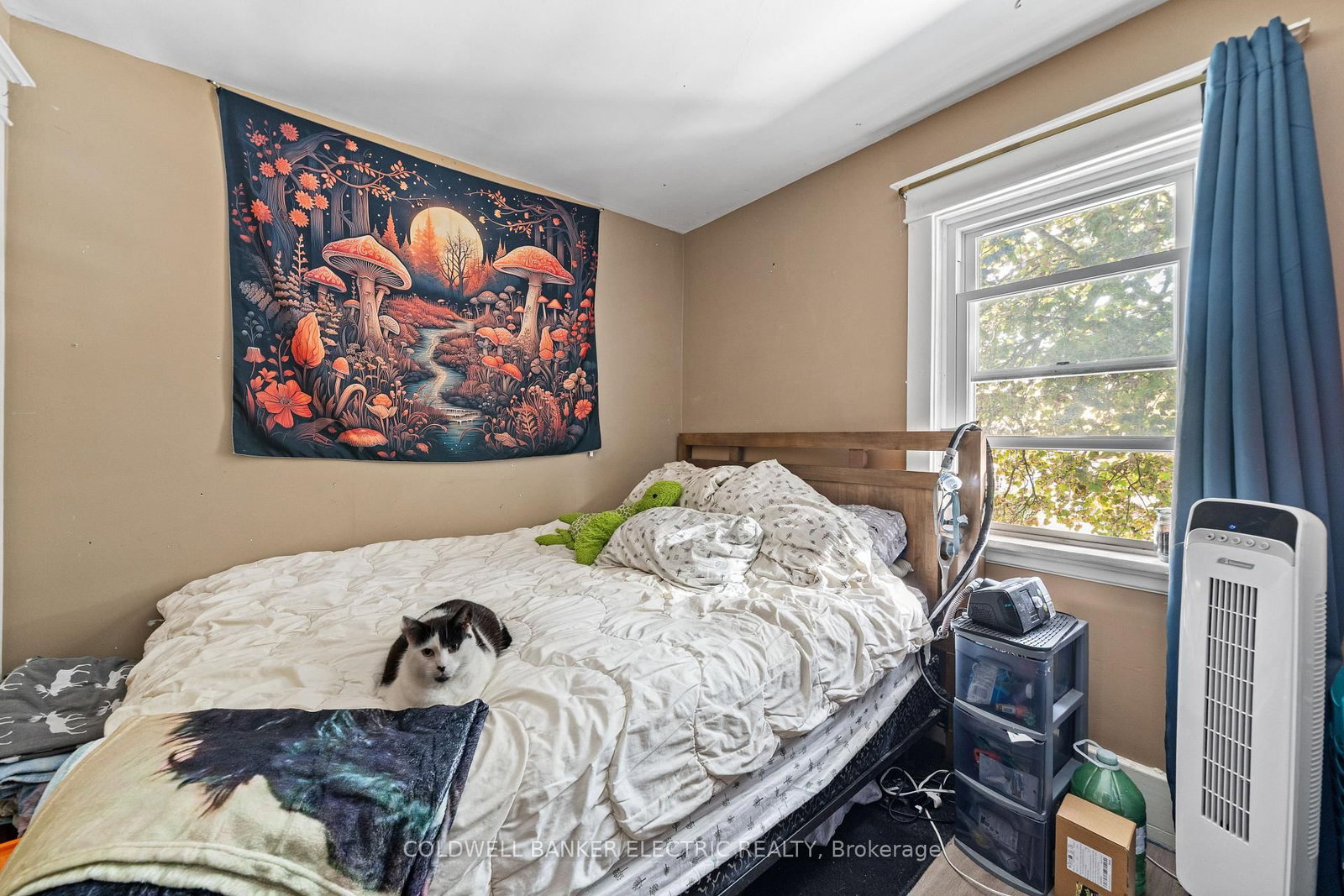 Detached House for sale at 112 Lansdowne Street, Peterborough, Ontario, K9J 1Y1 - Town Ward 3 - MLS: X12940304