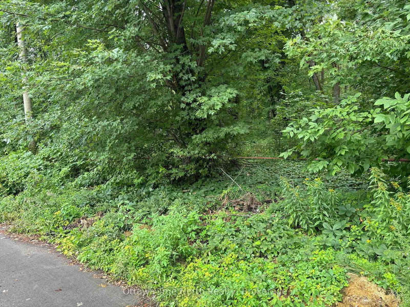 101 Allbirch Rd, Ottawa, K0A 3M0 | Image 3