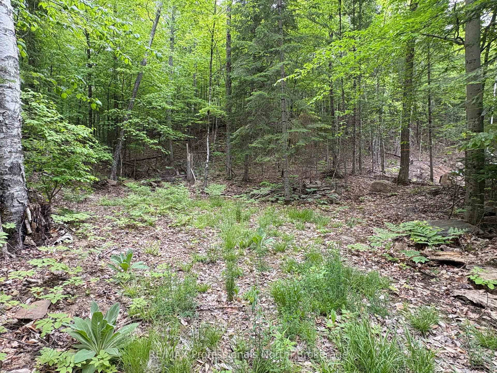 0 POVERTY BAY Trail • Minden Hills, ON photo 10