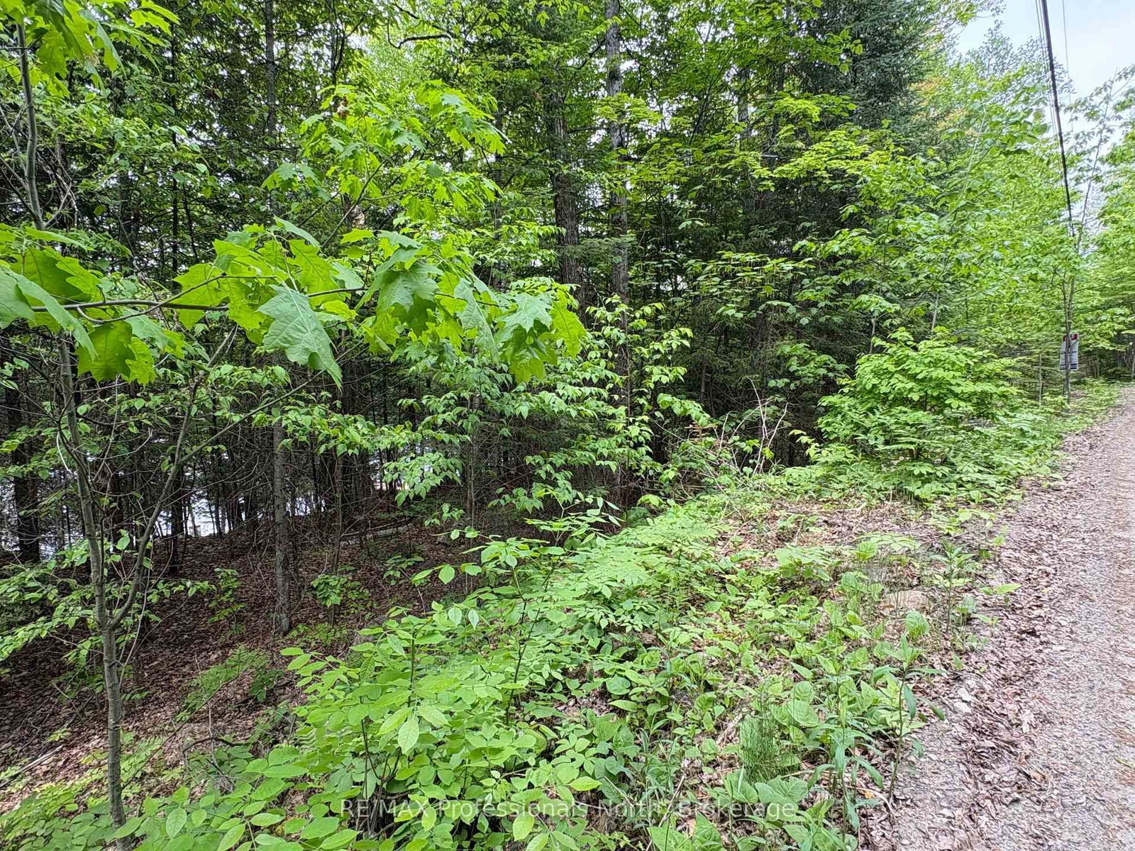 0 POVERTY BAY Trail • Minden Hills, ON photo 12