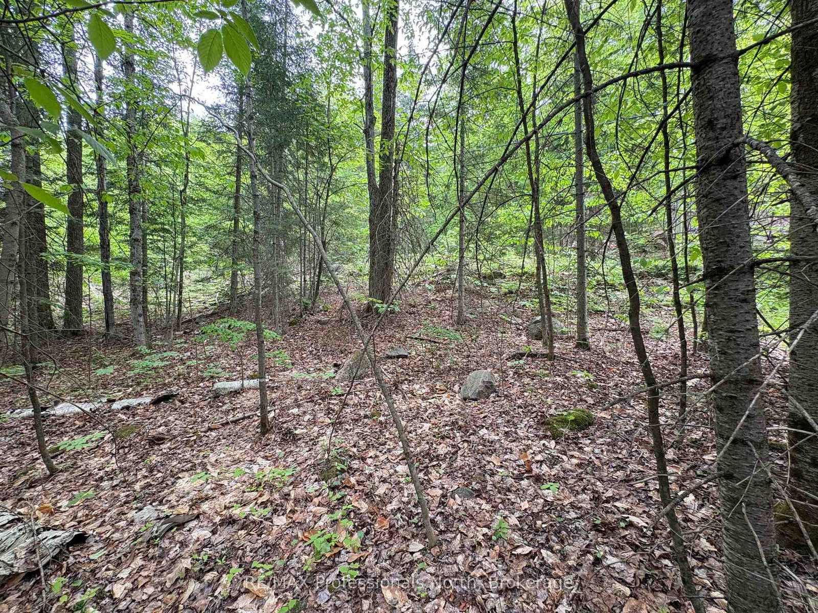 0 POVERTY BAY Trail • Minden Hills, ON photo 15