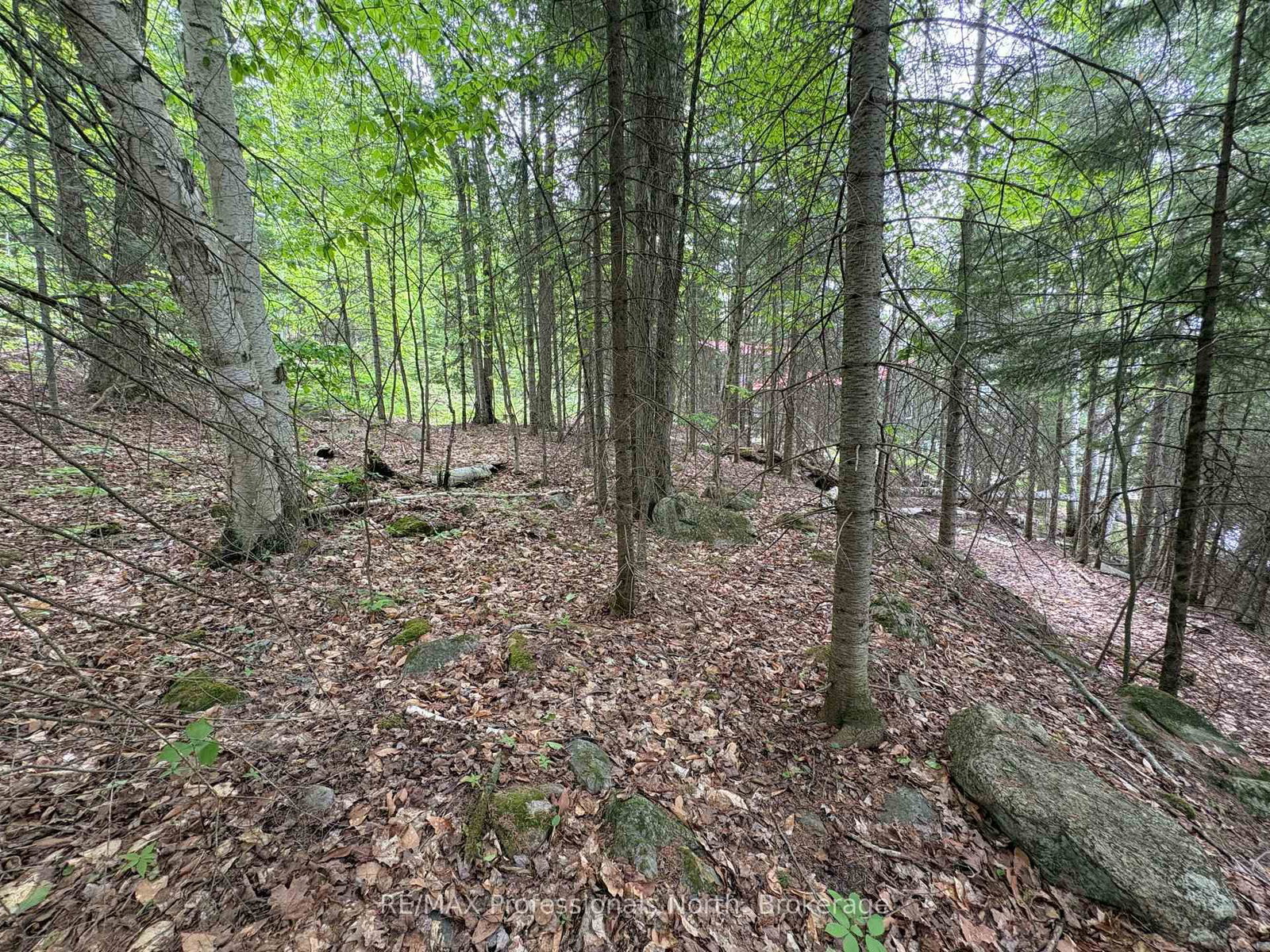 0 POVERTY BAY Trail • Minden Hills, ON photo 16