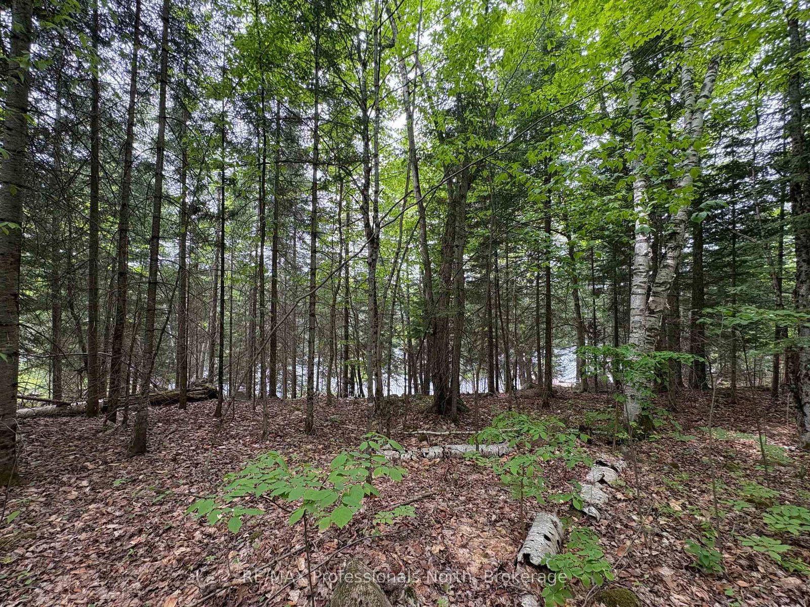 0 POVERTY BAY Trail • Minden Hills, ON photo 18