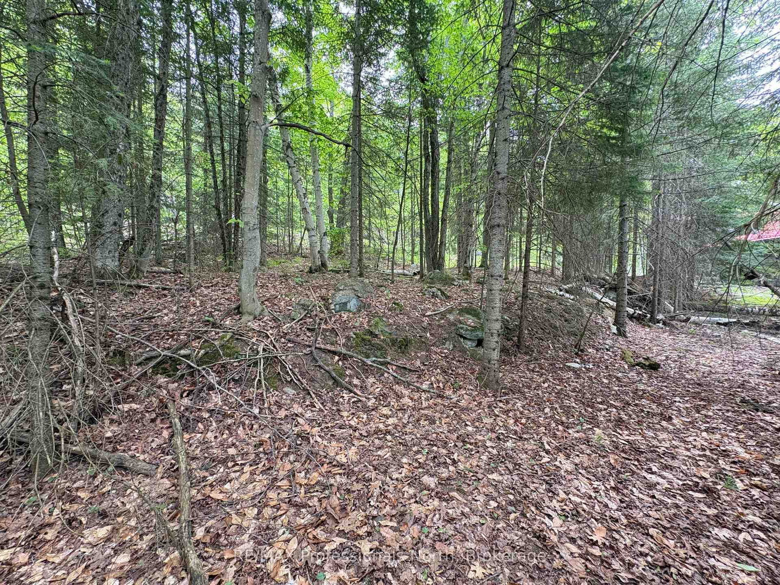 0 POVERTY BAY Trail • Minden Hills, ON photo 19