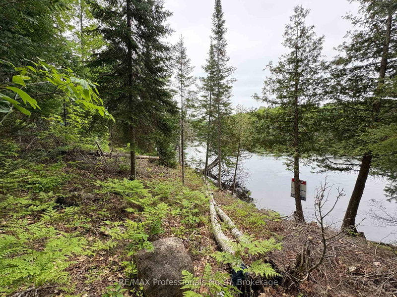 0 POVERTY BAY Trail