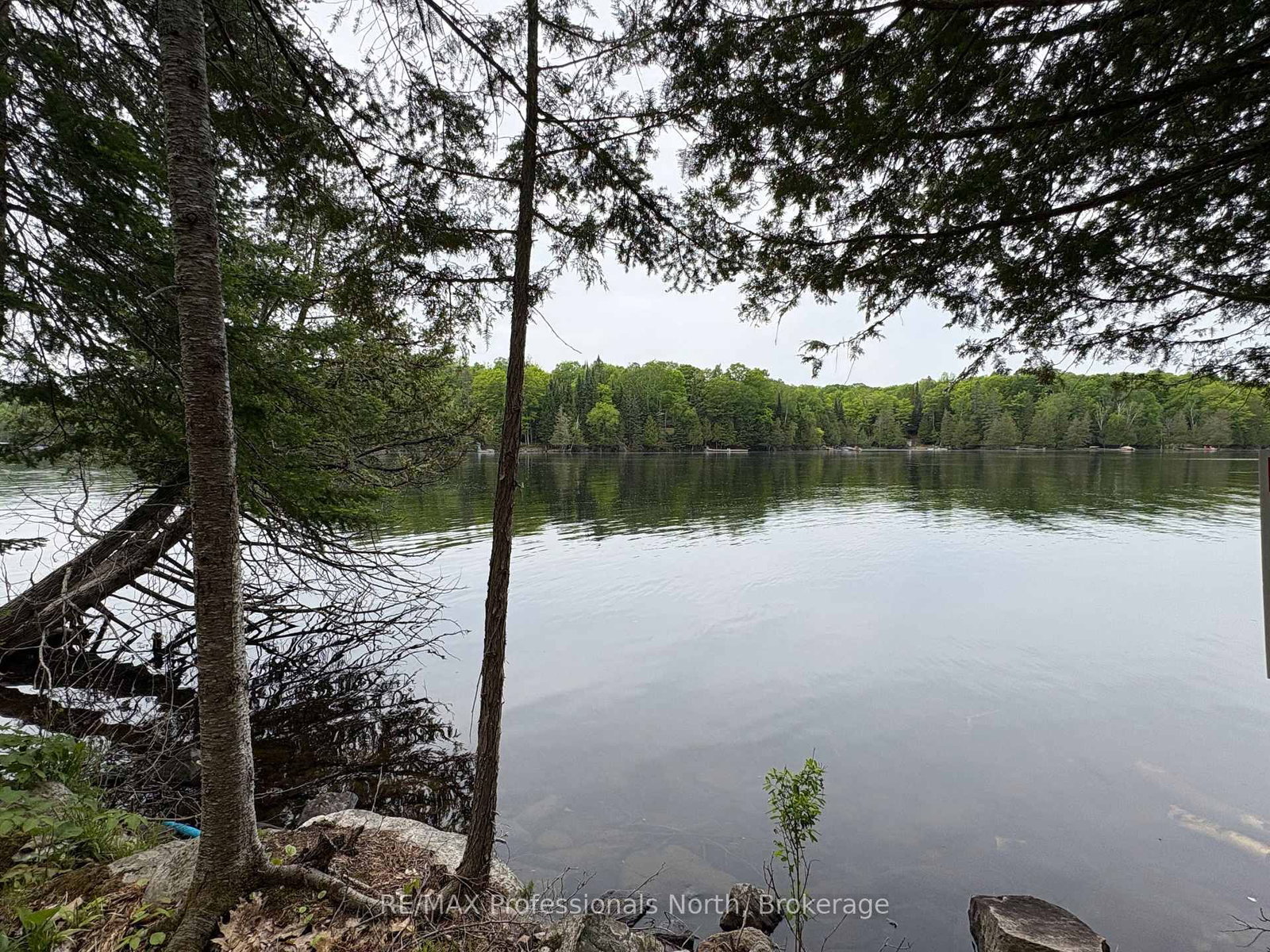 0 POVERTY BAY Trail • Minden Hills, ON photo 20
