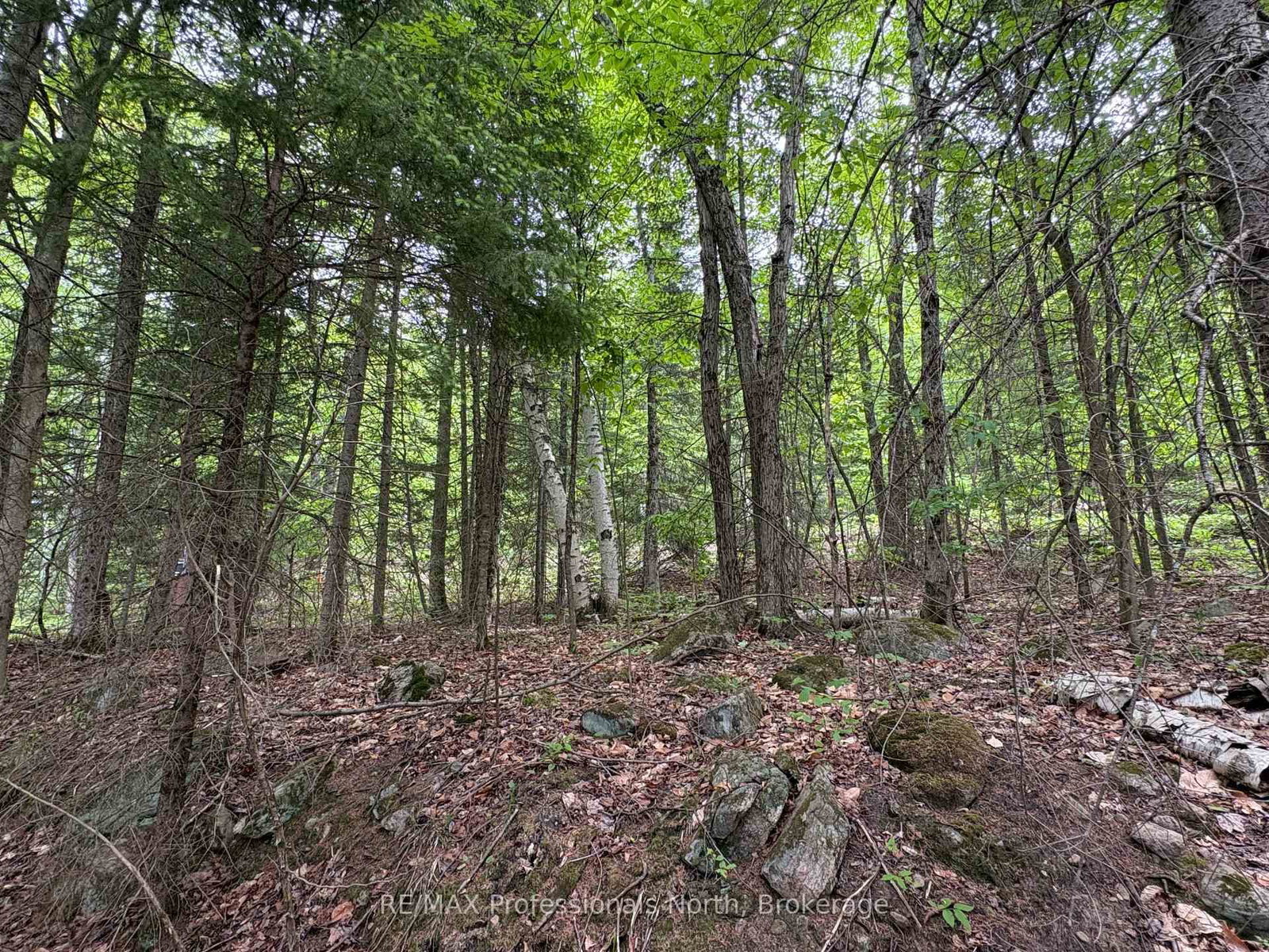 0 POVERTY BAY Trail • Minden Hills, ON photo 22