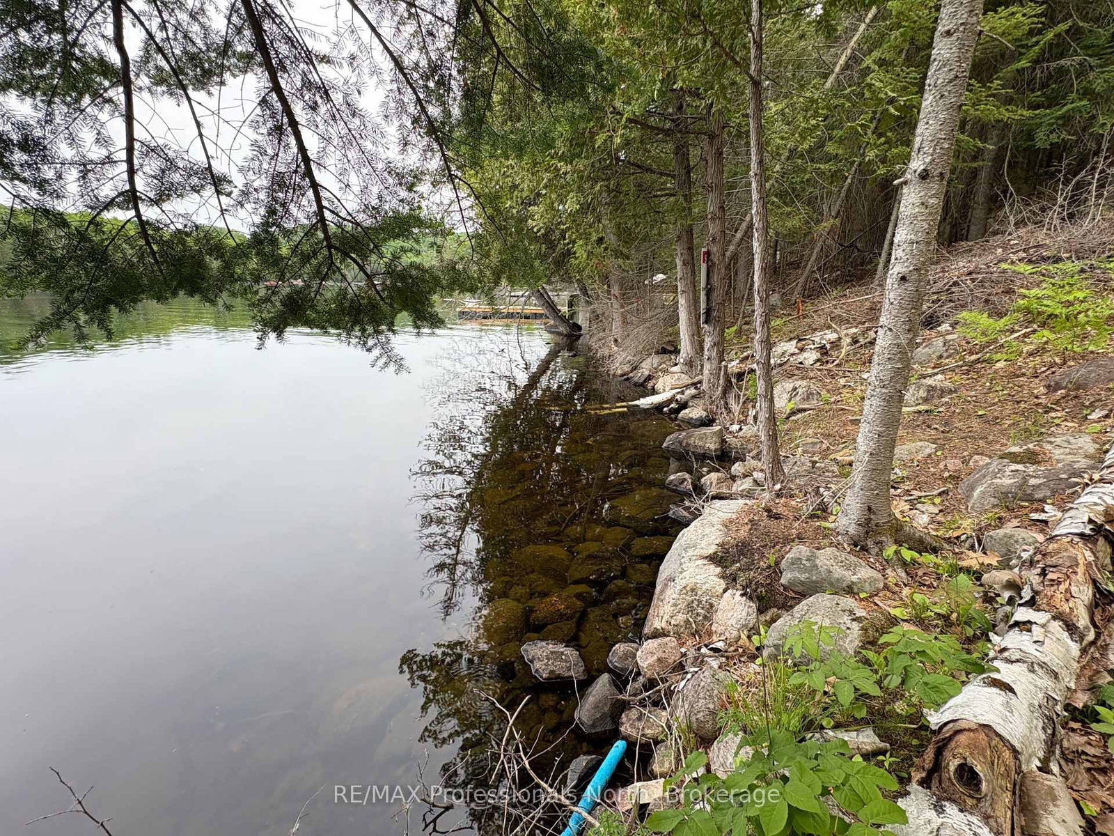 0 POVERTY BAY Trail • Minden Hills, ON photo 23