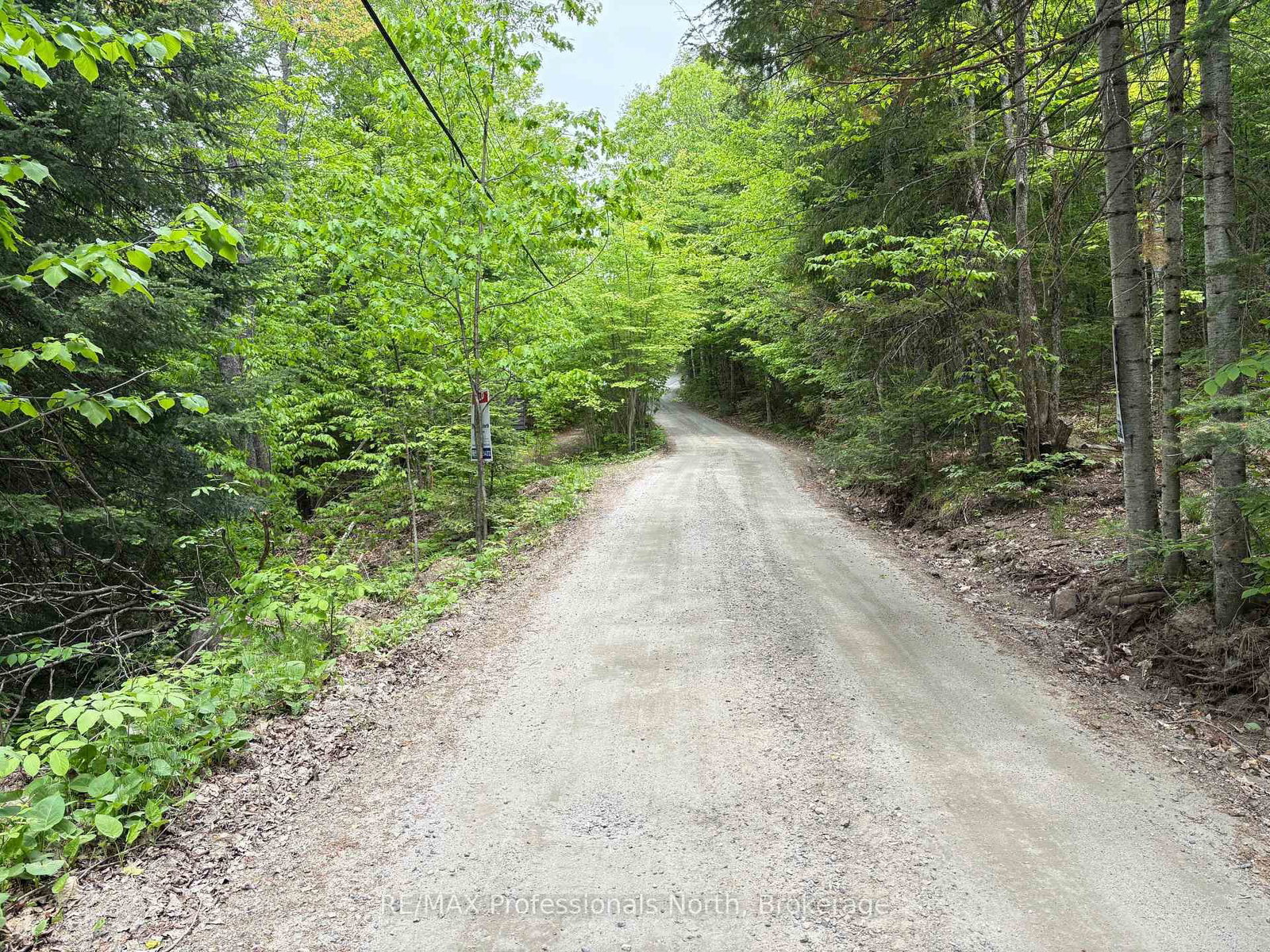 0 POVERTY BAY Trail • Minden Hills, ON photo 25