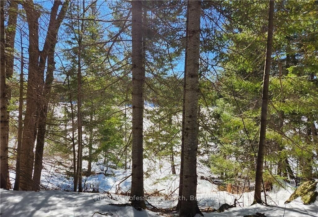 0 POVERTY BAY Trail • Minden Hills, ON photo 26