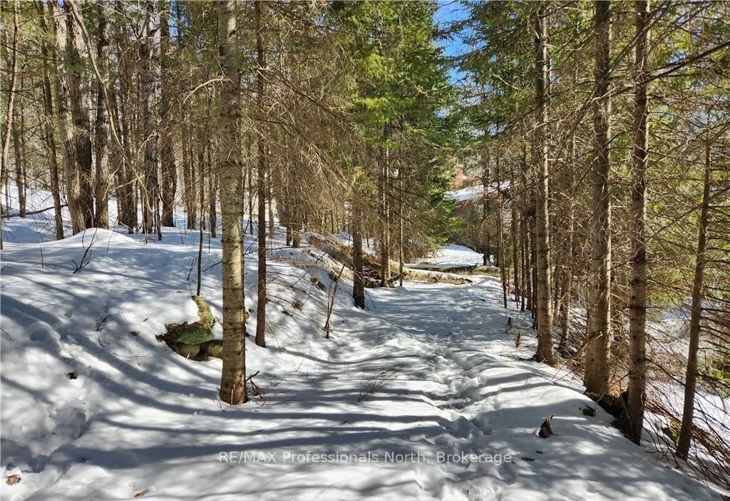 0 POVERTY BAY Trail • Minden Hills, ON photo 27