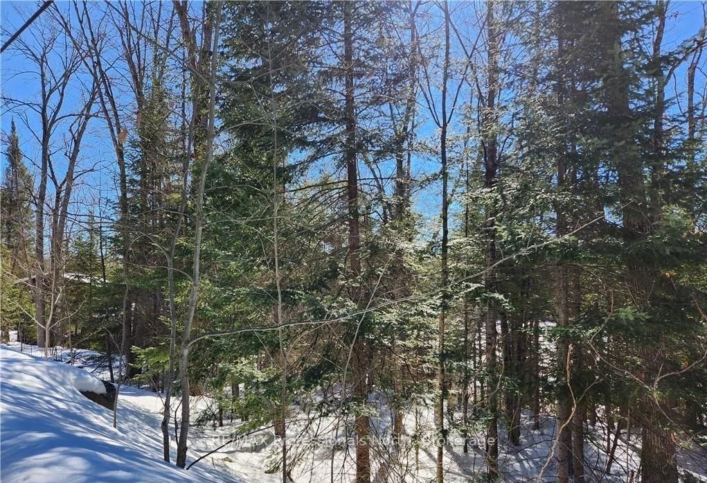 0 POVERTY BAY Trail • Minden Hills, ON photo 28