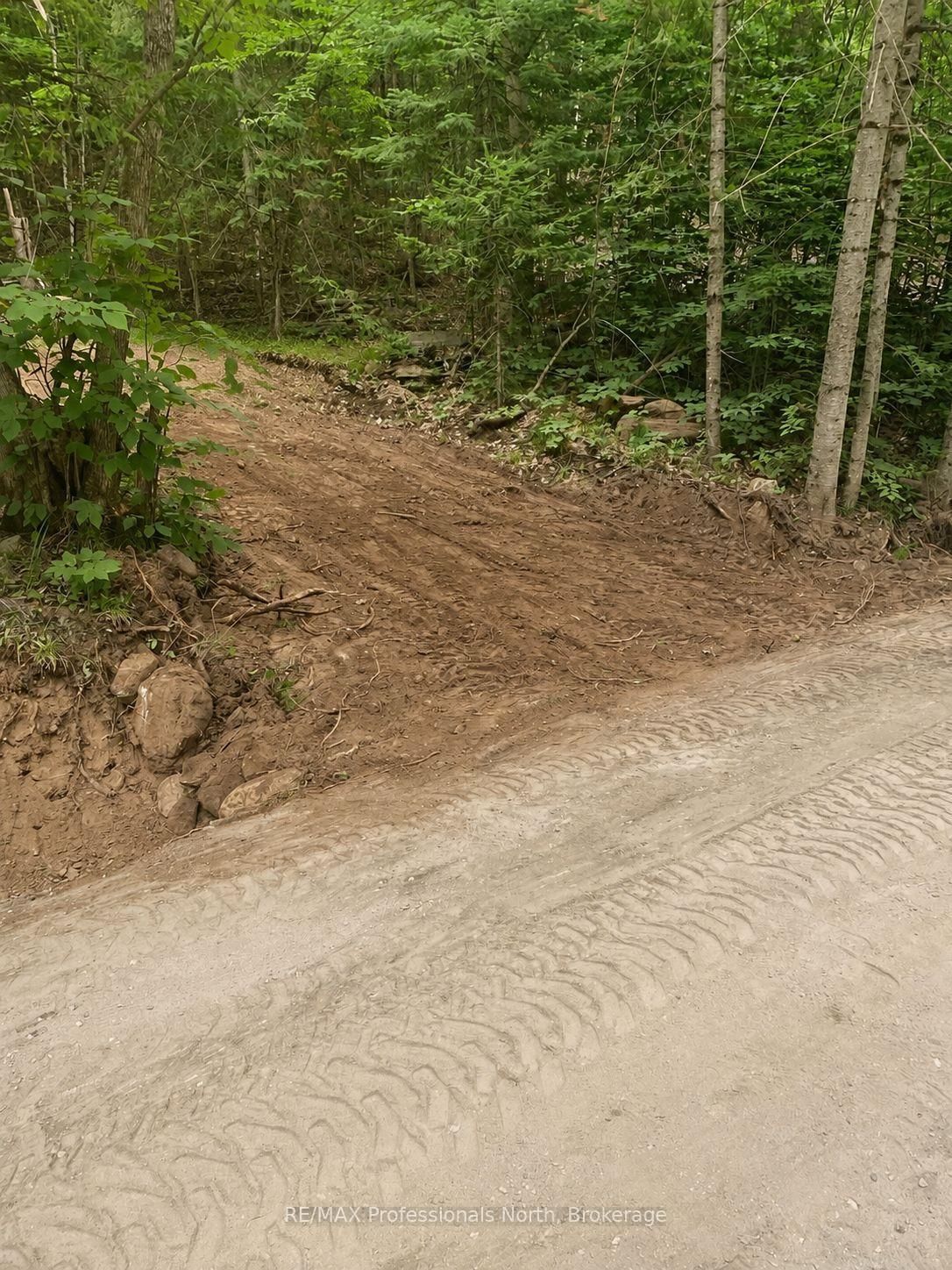 0 POVERTY BAY Trail • Minden Hills, ON photo 8