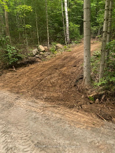 0 POVERTY BAY Trail • Minden Hills, ON photo 9