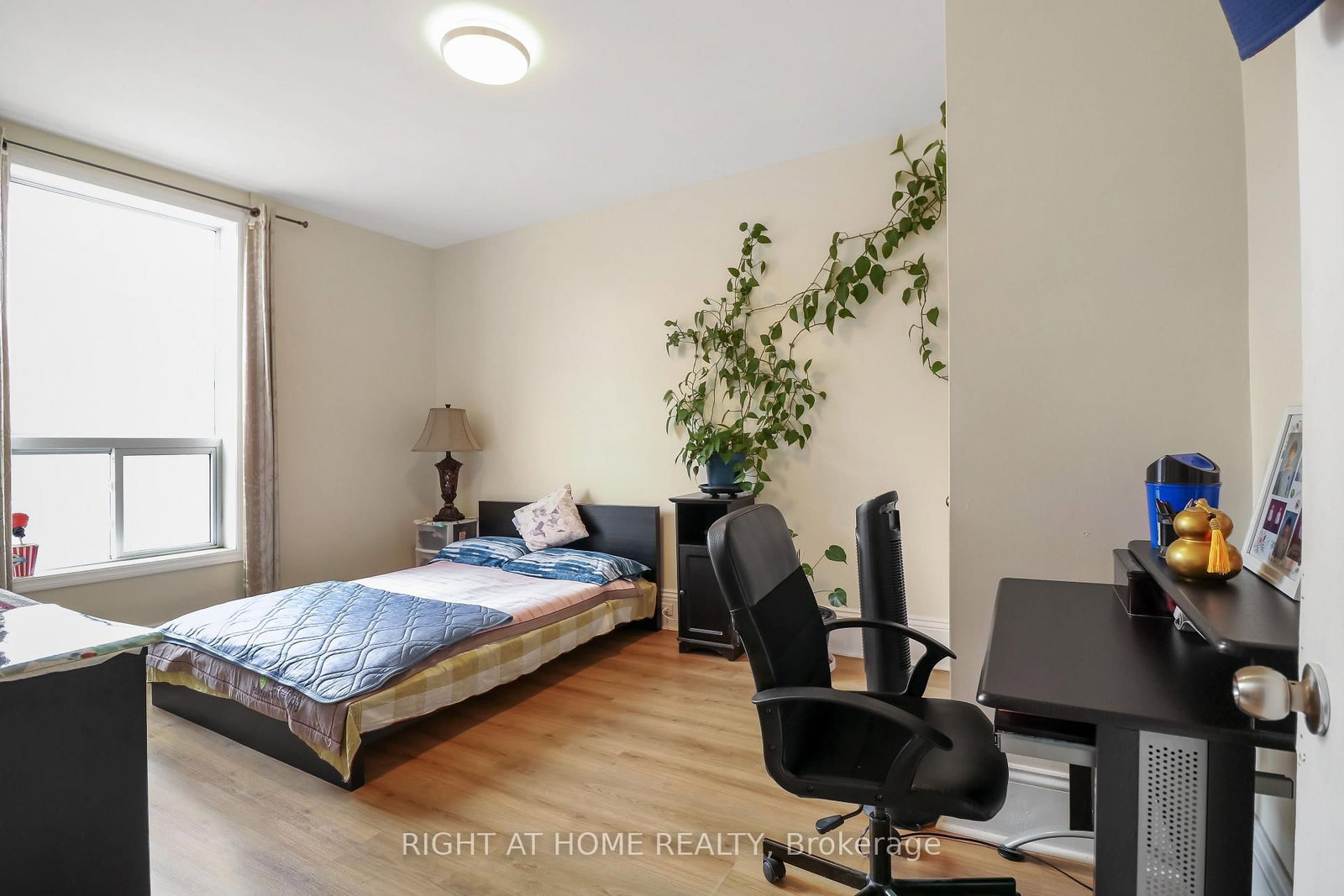 508 Rideau Street - Photo 9