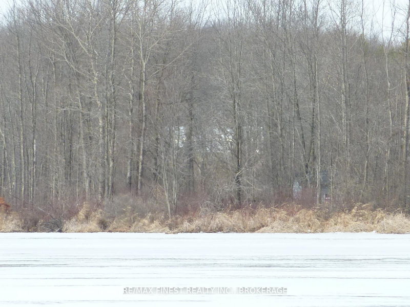 home for sale on 115 County Road 8 null