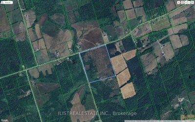 557 Noonan Road • Alnwick/Haldimand, ON photo 3