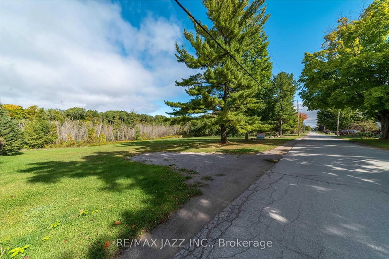 Lot 17 Grandy Rd, Kawartha Lakes, K0M 1K0 | Image 3