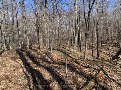 0 Red Pine Road — photo 5