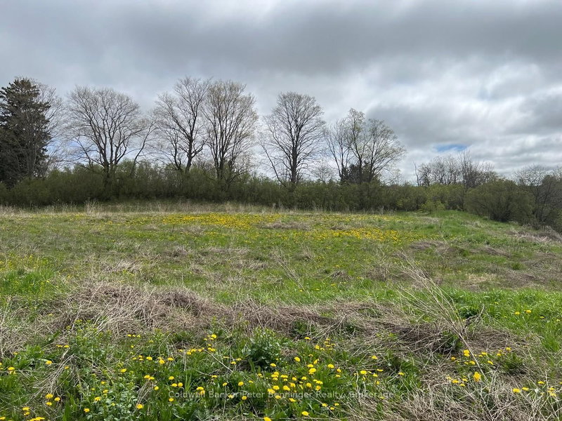 0 North (Paisley) St W, Arran-Elderslie, N0G 2N0 | Image 2