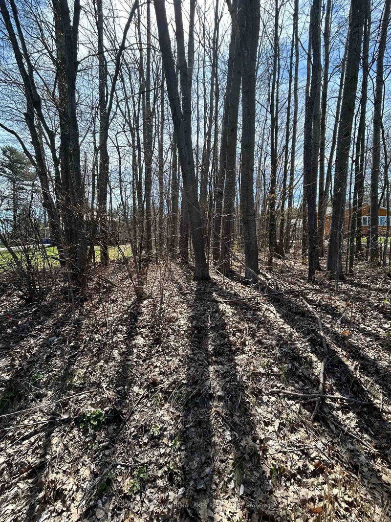 0 Poplar Dr, Hamilton Township, K0L 1E0 | Image 2