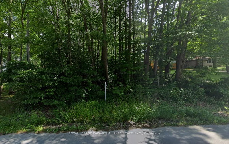 0 Poplar Dr, Hamilton Township, K0L 1E0 | Image 3