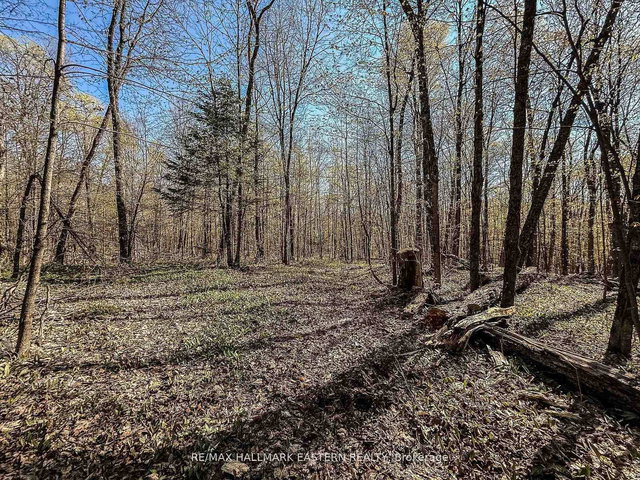 2494 Hadlington Road