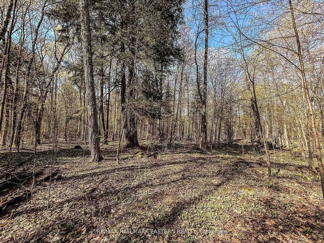 2494 Hadlington Road