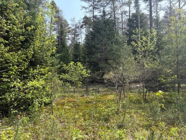 147 SO HO MISH Road • Perry, ON photo 3