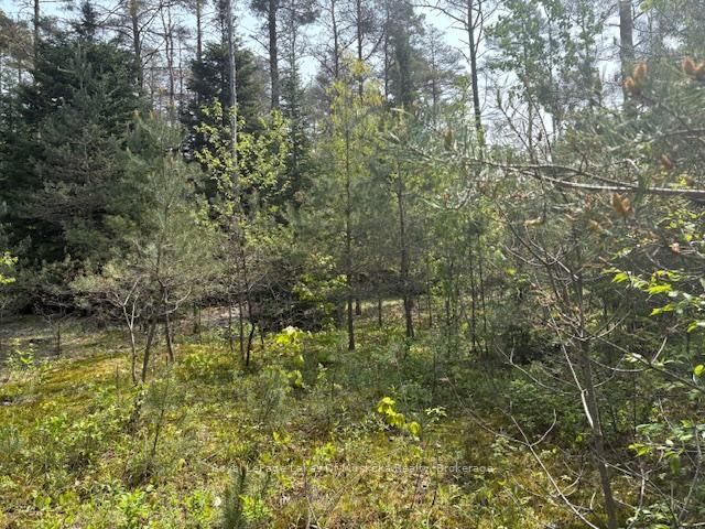 147 SO HO MISH Road • Perry, ON photo 4