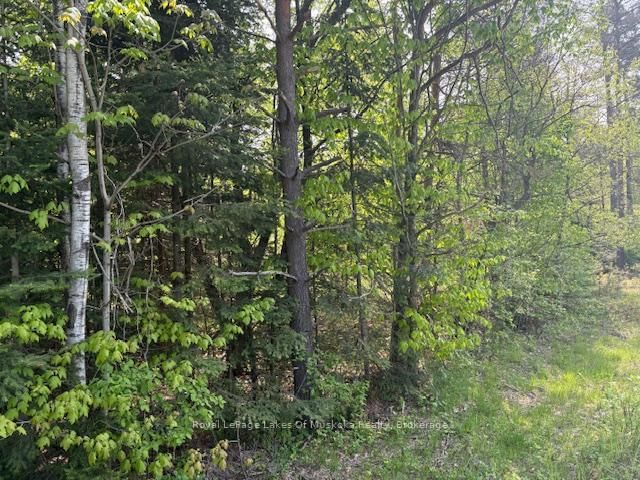 147 SO HO MISH Road • Perry, ON photo 6