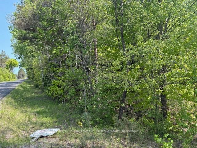 147 SO HO MISH Road • Perry, ON photo 8