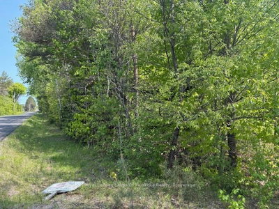 147 SO HO MISH Road • Perry, ON photo 8