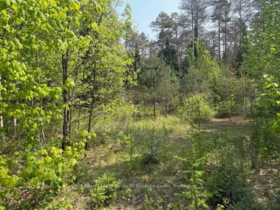 147 SO HO MISH Road • Perry, ON photo 9