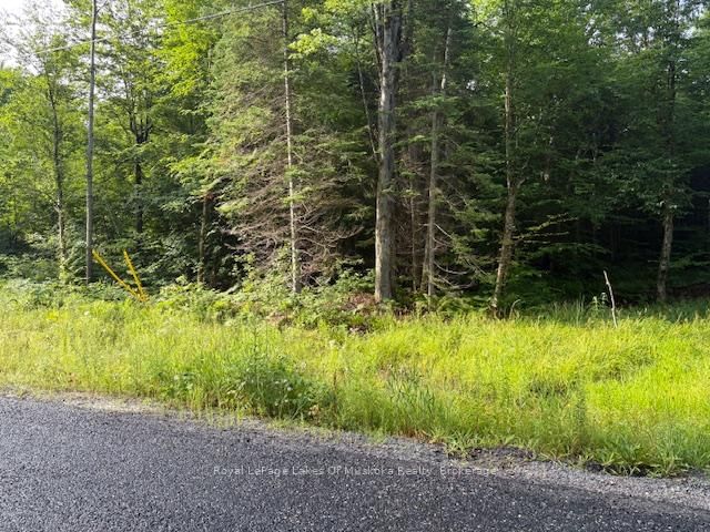 48 Summer Leigh Trail
